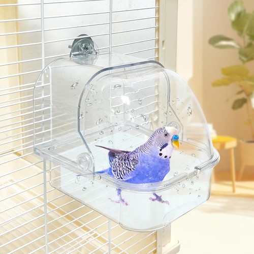 Clear plastic bird - plastic,