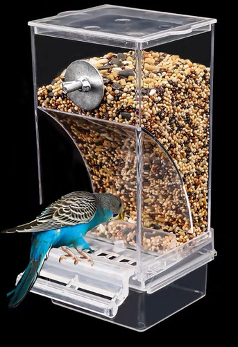 Bird parrot feeders mess - bird,
