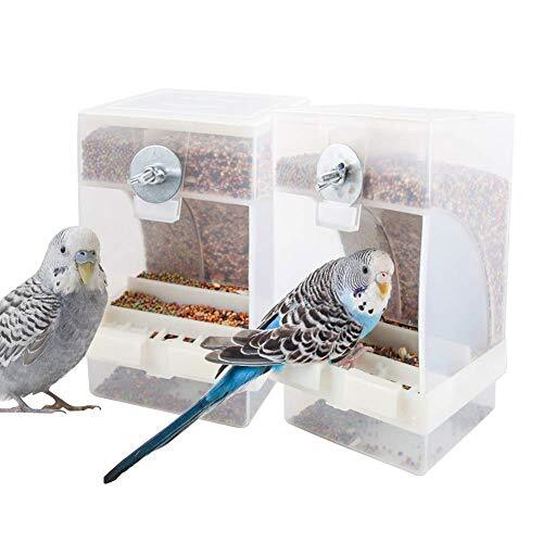 Mess bird feeder parrot - feeder,