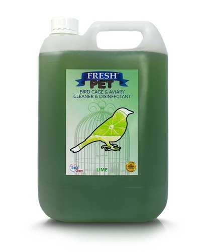 Bird specialist cage - bird,